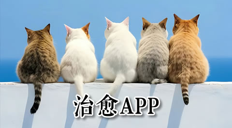 治愈萌猫来袭：这些手机游戏让你爱不释手 安卓精品应用专题