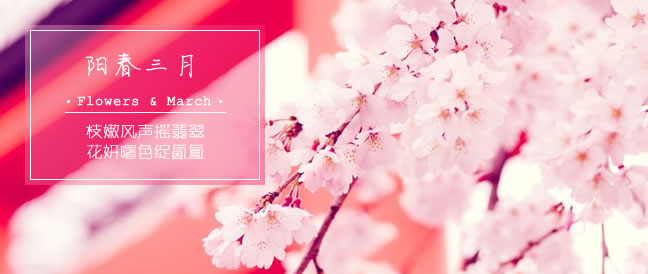 阳春三月 - 安卓手机壁纸专题